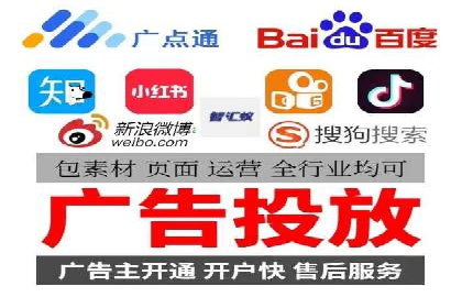 行业领先SEM服务公司案例研究